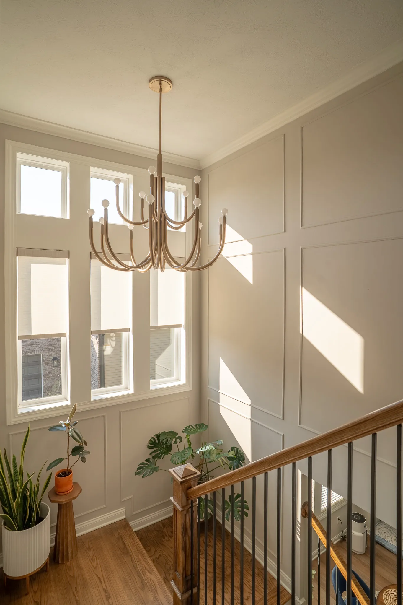 Picture Frame Molding